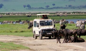 Tanzania National Park Tour Packages: What Do You Need To Know?