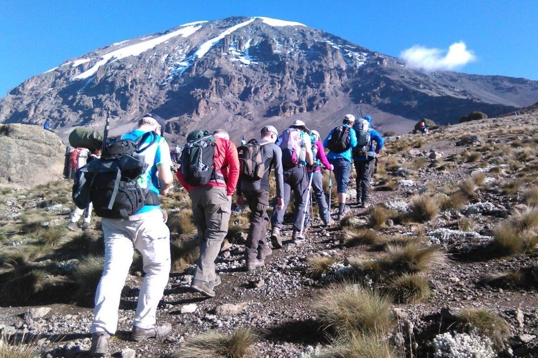 Kilimanjaro Climb and Safari Packages