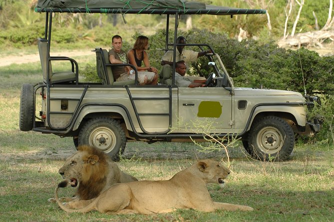 Arusha Serengeti Safari Tour