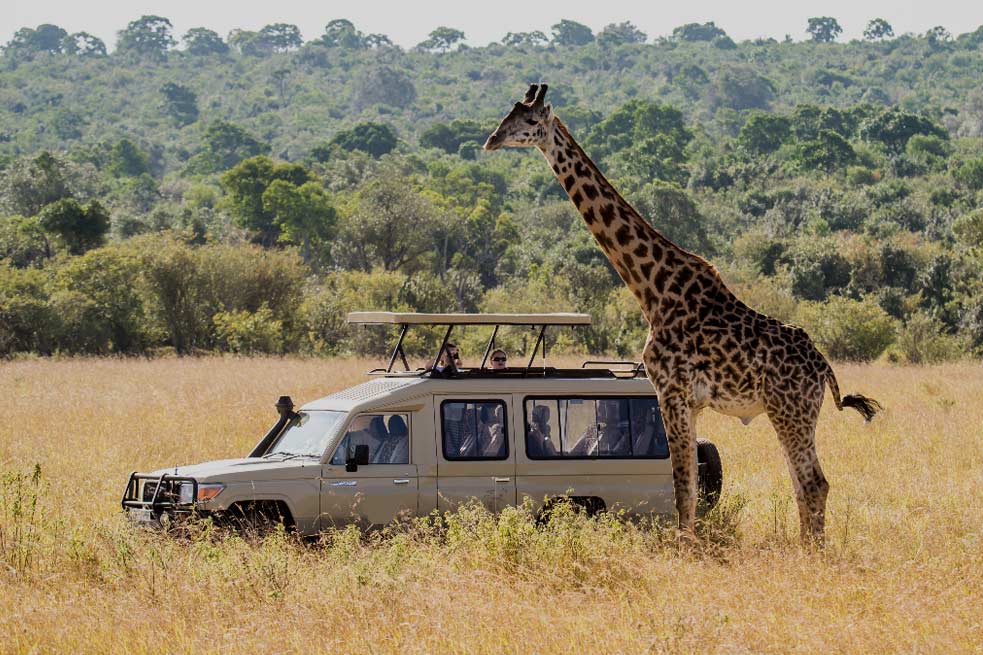 Best Tanzania Safari Tour Packages