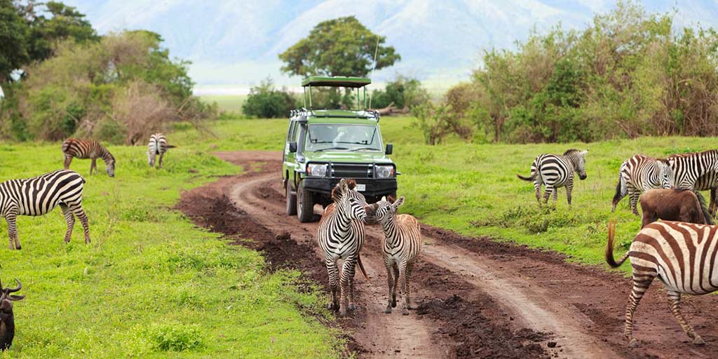 Luxury Tanzania safari packages