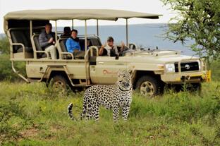 Tanzania Lodge Safari Packages