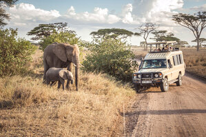 Serengeti Safari Tour Packages