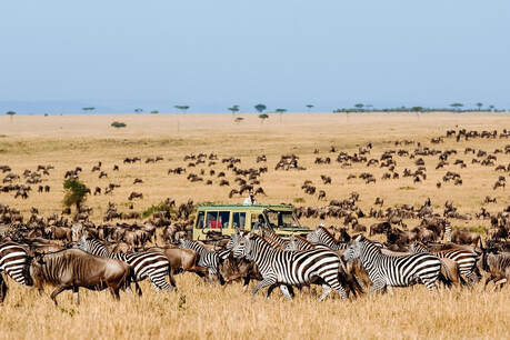 Tanzania private safari tours