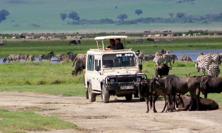 Serengeti guided tours