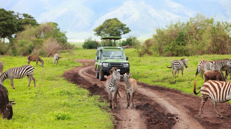 Tanzania National Park and Game Reserves