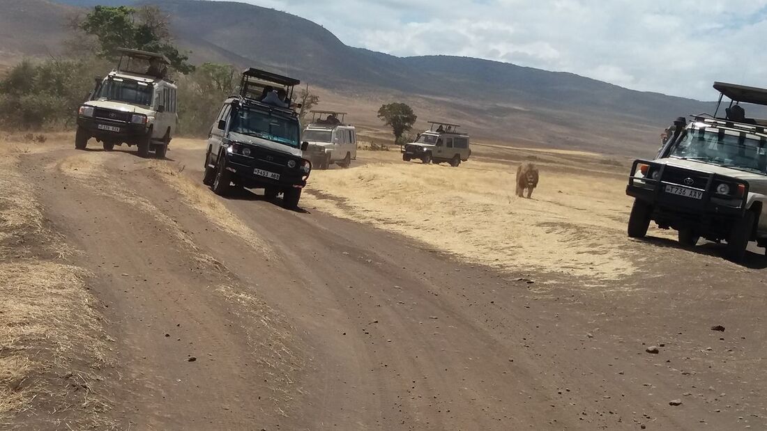 Tanzania private safari packages